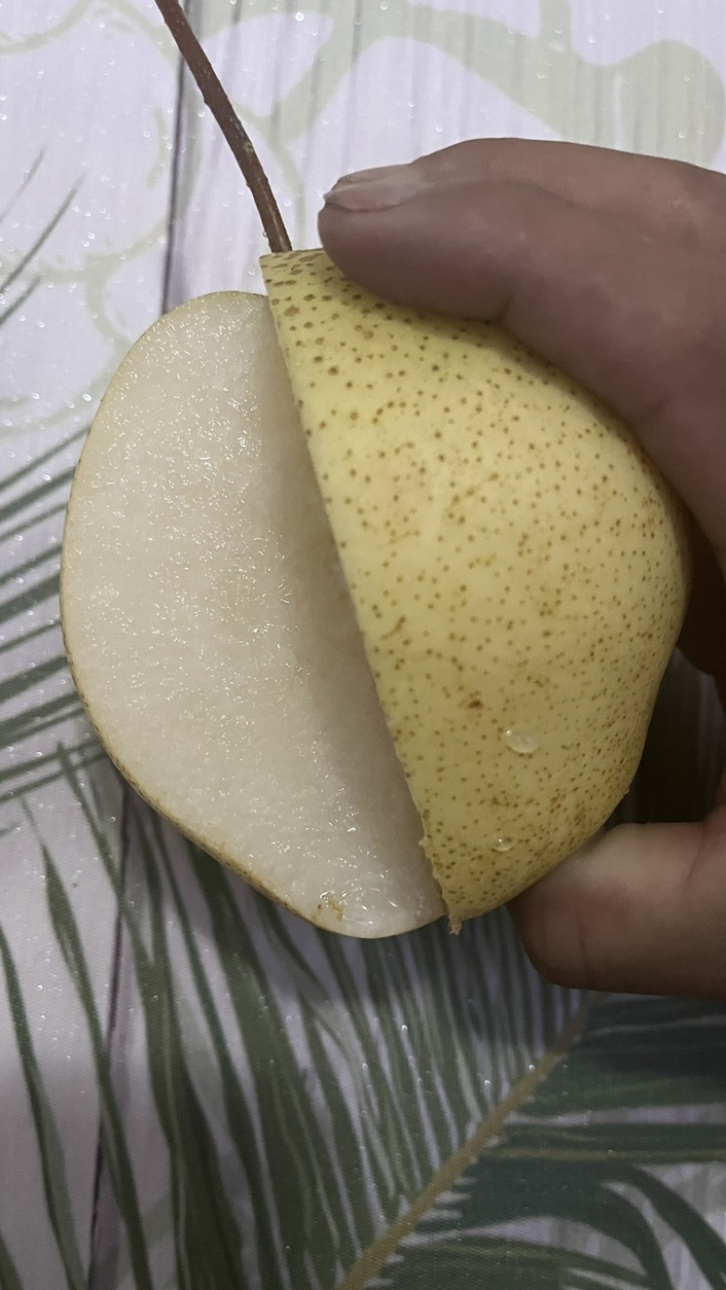 大雪花梨甘甜汁多欢迎来电咨询