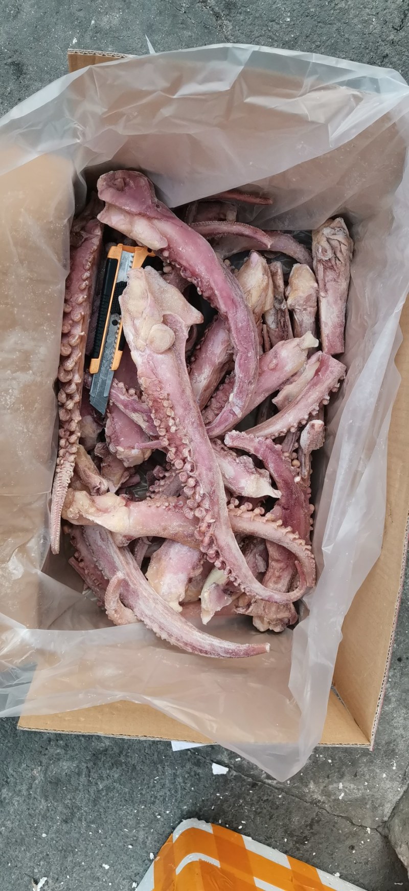 章鱼须，鲜冻脆口章鱼须，章鱼须，鲜冻脆口章鱼须