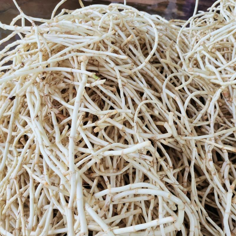 精品鱼腥草，给钱就卖