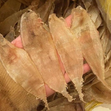 鳘鱼胶，海鲜干货，滋补品，产地货一手货源，价格优惠