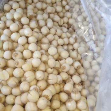一年四季出售江西去皮去心的新鲜莲子，味道鲜甜、儒，糯。