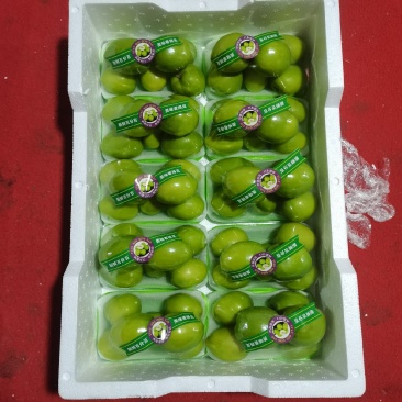 云南，青枣元谋，十合一，果亮，果绿，脆甜，产地一手直供