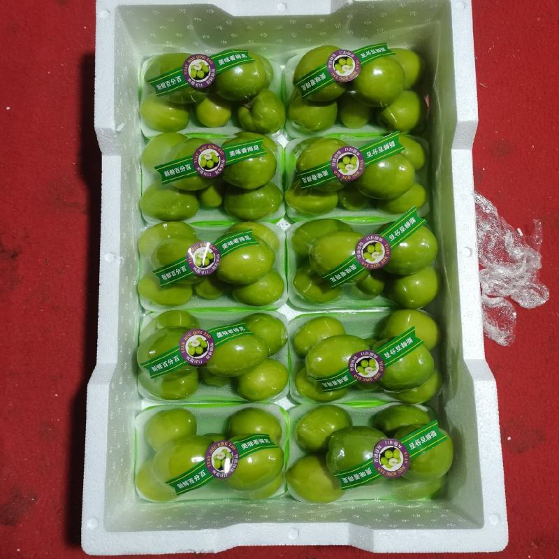 云南，青枣元谋，十合一，果亮，果绿，脆甜，产地一手直供