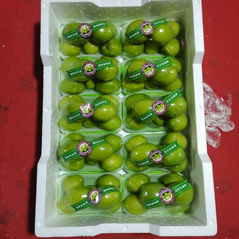 云南，青枣元谋，十合一，果亮，果绿，脆甜，产地一手直供
