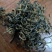 英红九号秋茶