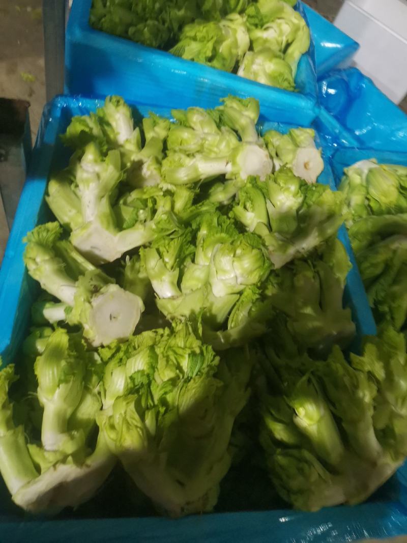儿菜