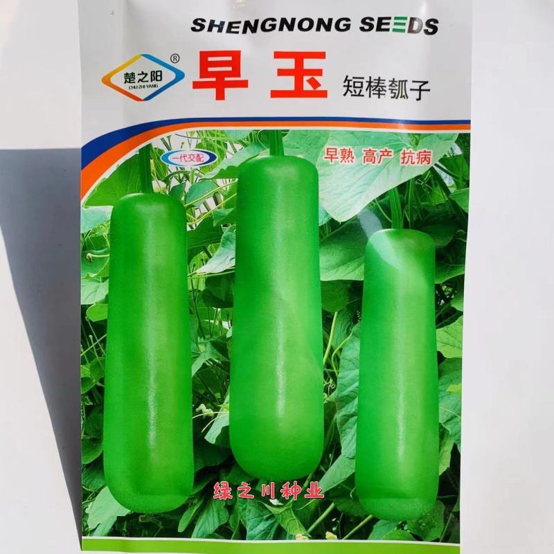 清香瓠子瓜种子短棒瓠子种子肉质细嫩味甜早熟瓠瓜种子高产