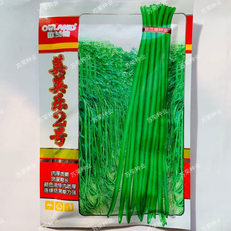 欧兰德荚荚乐2号特长豇豆种子豆荚绿肉厚不鼓籽豇豆大