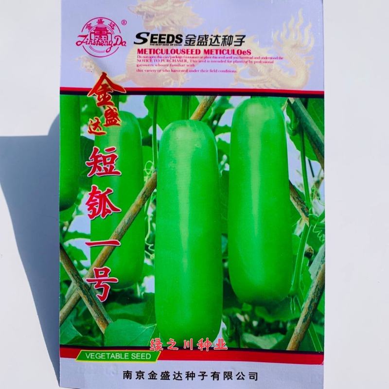 金盛达短瓠一号瓠子瓜种子大田用种瓠瓜种子