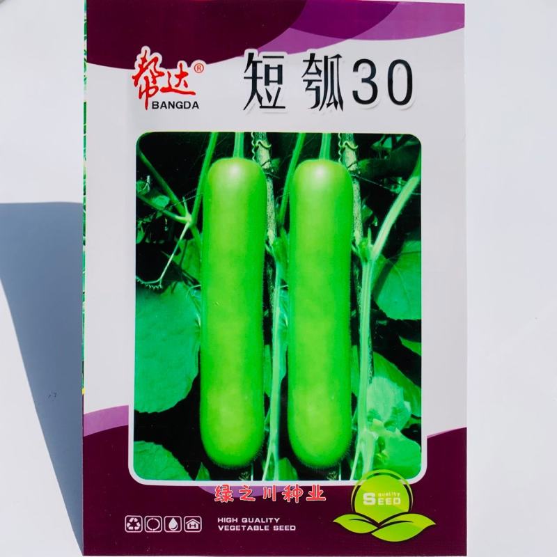 杂交一代瓠子瓜种子帮达短瓠30瓠瓜种子商品瓜短棒形