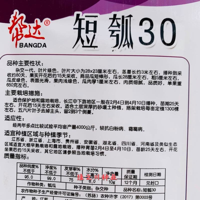 杂交一代瓠子瓜种子帮达短瓠30瓠瓜种子商品瓜短棒形
