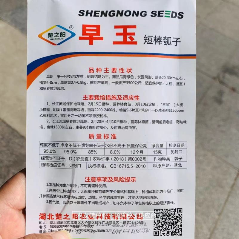 楚之阳早玉短棒瓠子种子高产青绿色瓠子瓜种子早熟瓠瓜种子
