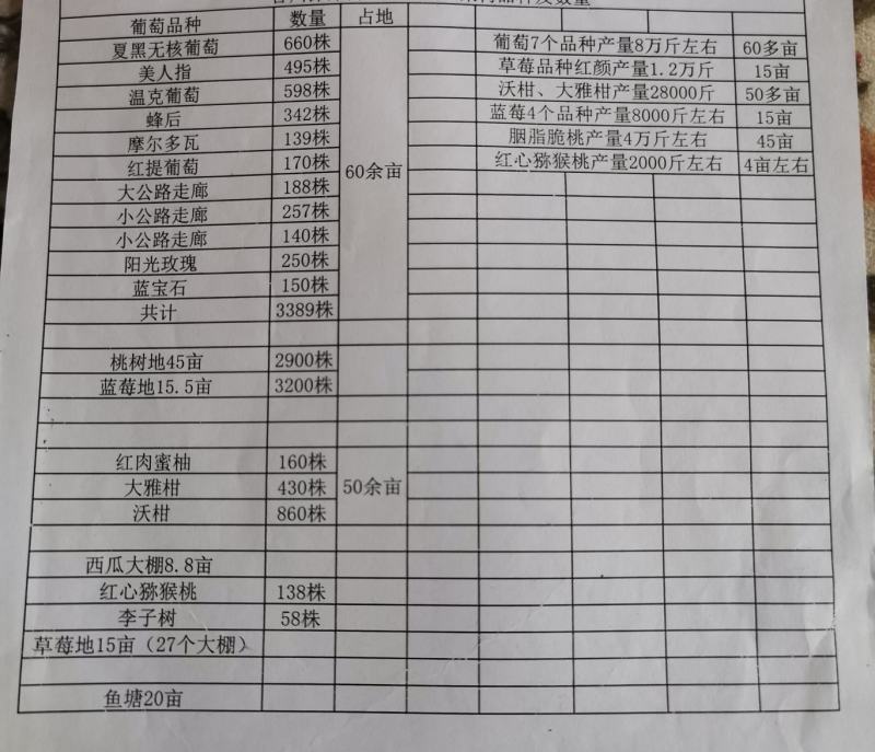 重庆合川区果园转让，丰产期，价格便宜