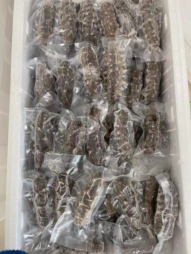 【实力商家】鲜食海参高品质，高营养，低价格，肉质肥厚