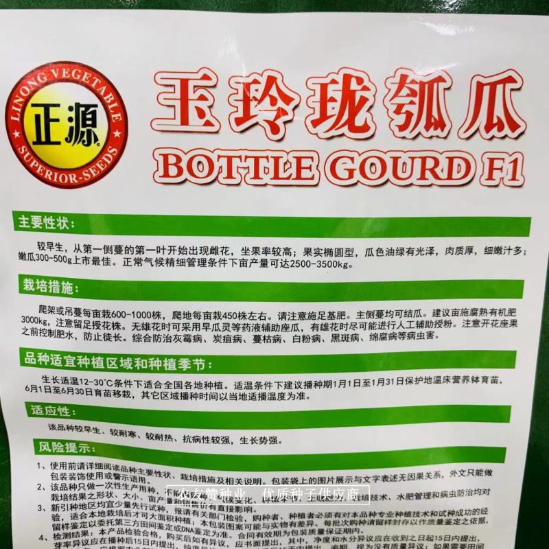 正源玉玲珑瓠瓜种子椭圆形瓠子瓜种子油绿有光泽