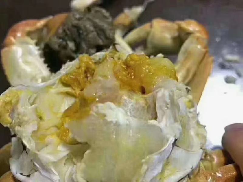 大公蟹-45公5公洪湖大闸蟹批发红膏河蟹毛蟹鲜活基地直供