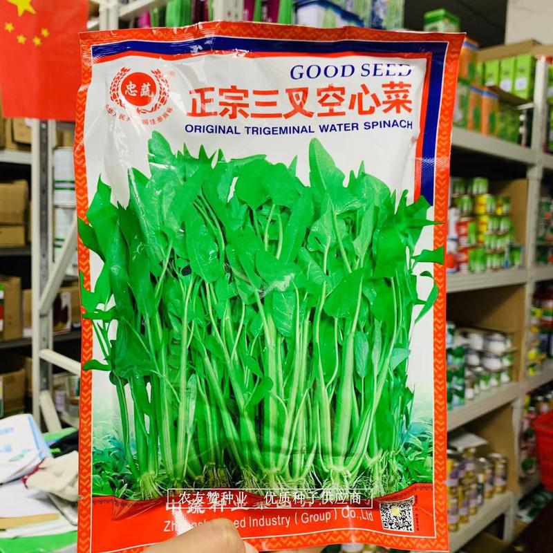 忠蔬正宗三叉空心菜种子一籽三叉空心菜旱地水地皆可种植