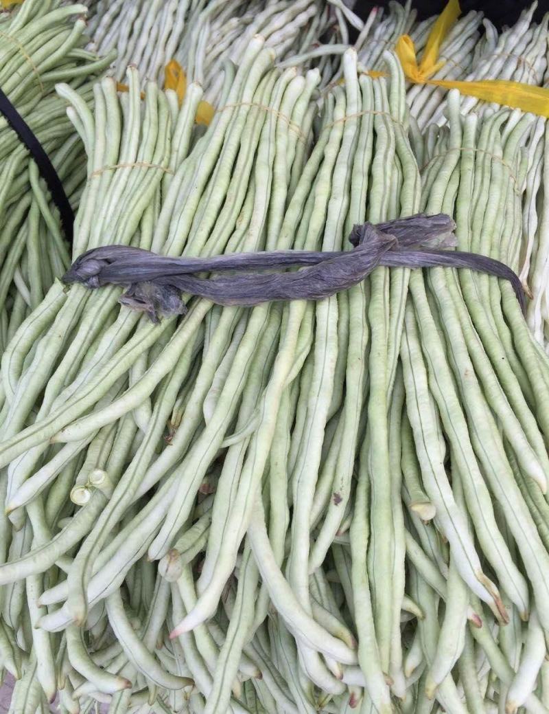 冠天下长白龙豇豆种子春夏秋四季长豆角种籽菜豆早熟高产豇豆