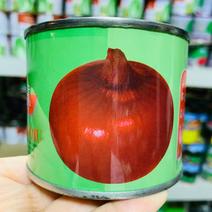 红地球红皮洋葱种子优质高产苹果型洋葱种籽高产抗病强
