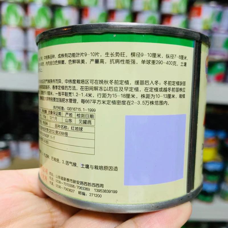 红地球红皮洋葱种子优质高产苹果型洋葱种籽高产抗病强