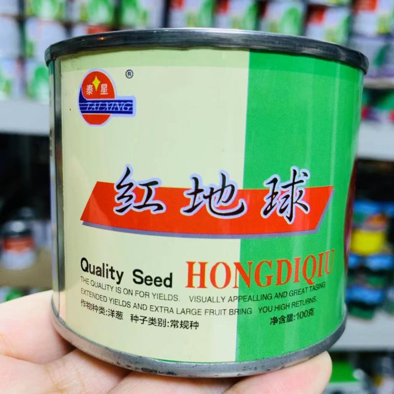 红地球红皮洋葱种子优质高产苹果型洋葱种籽高产抗病强