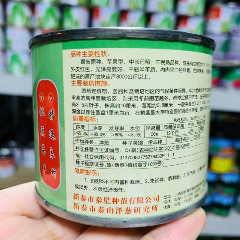 红地球红皮洋葱种子优质高产苹果型洋葱种籽高产抗病强