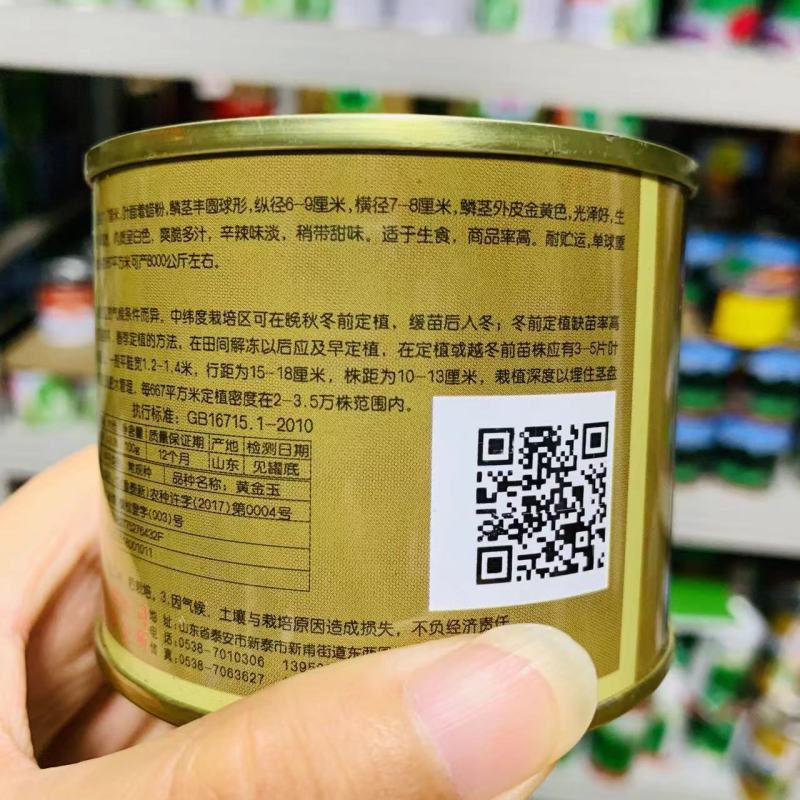 黄金玉黄皮洋葱种子辛辣味淡稍带甜味圆球型黄洋葱种子