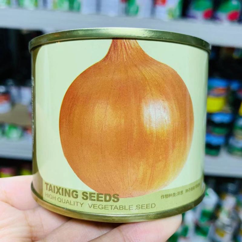 黄金玉黄皮洋葱种子辛辣味淡稍带甜味圆球型黄洋葱种子