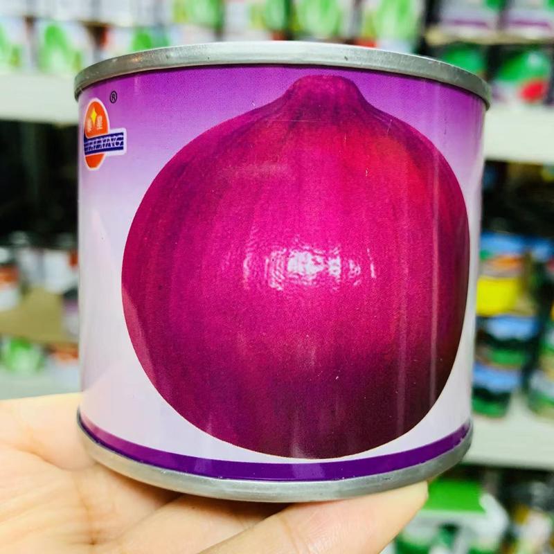 泰星紫冠紫皮洋葱种子中晚熟紫红皮洋葱种子，辣味中等