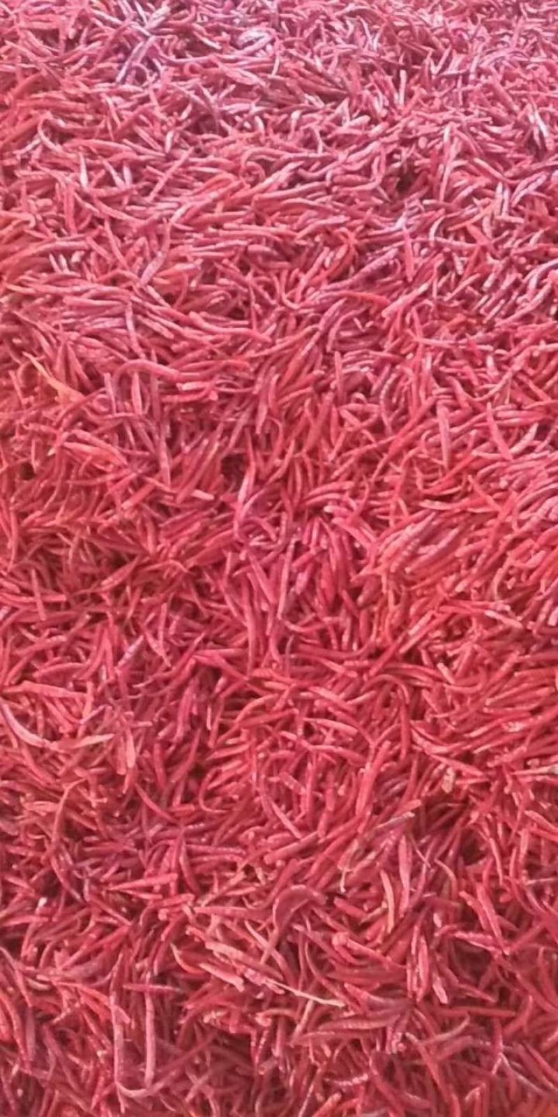 【推荐】宣威市丘北辣椒质量保证欢迎采购质量保证