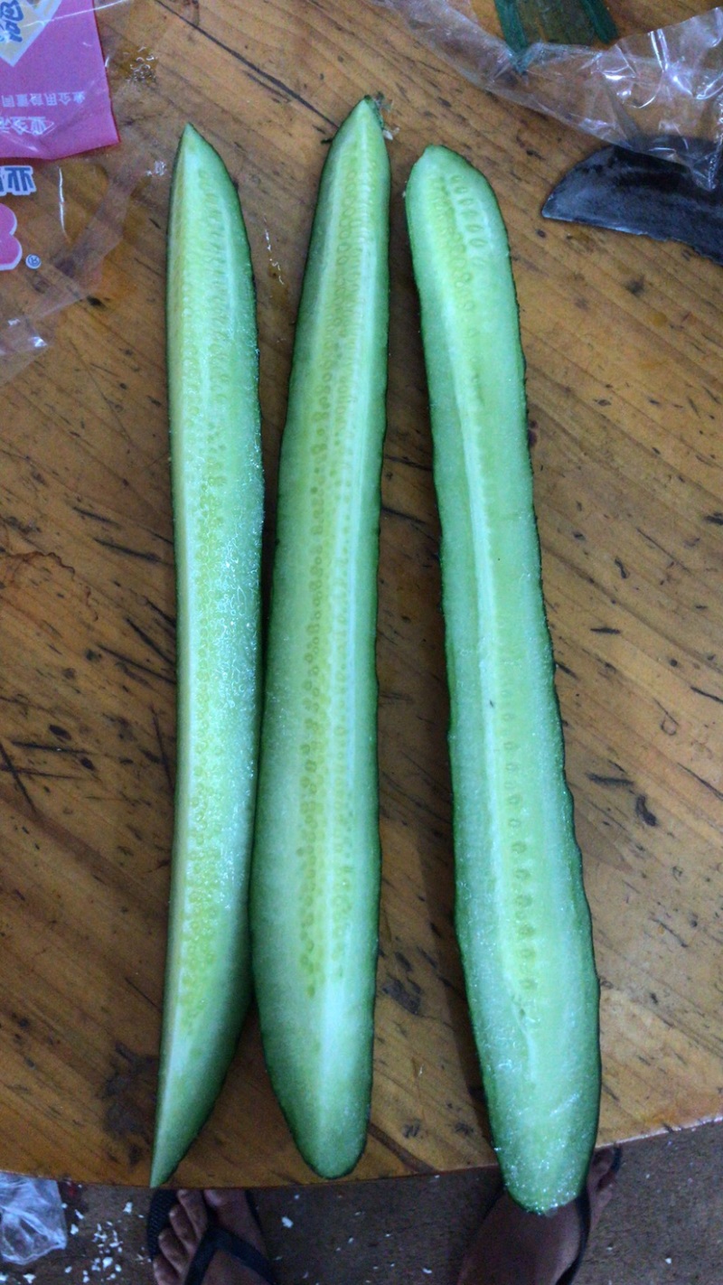 徐闻县青瓜大量上市