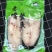 湛江赤嘴鳘鱼，原料和成品加工厂直批。包新鲜质量好