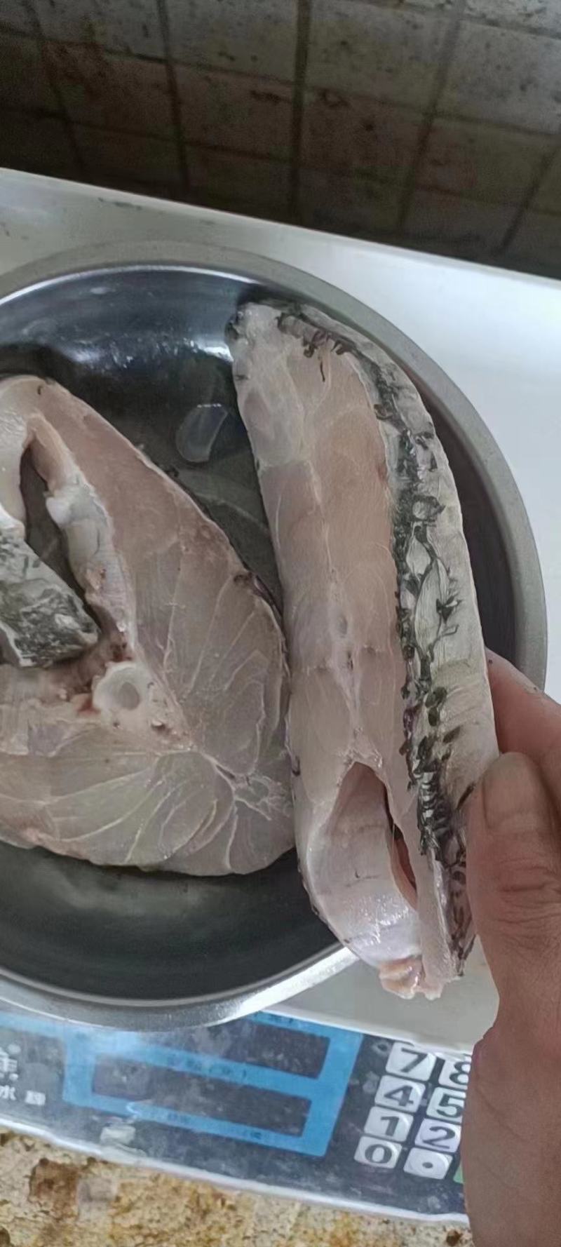湛江赤嘴鳘鱼，原料和成品加工厂直批。包新鲜质量好