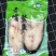 湛江赤嘴鳘鱼，原料和成品加工厂直批。包新鲜质量好