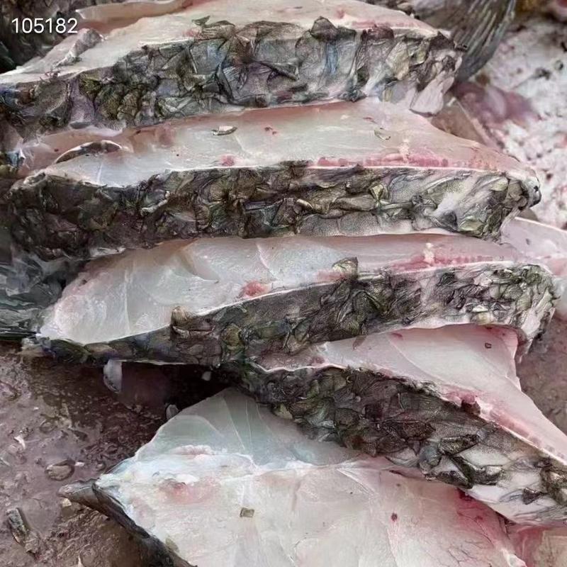 湛江赤嘴鳘鱼，原料和成品加工厂直批。包新鲜质量好