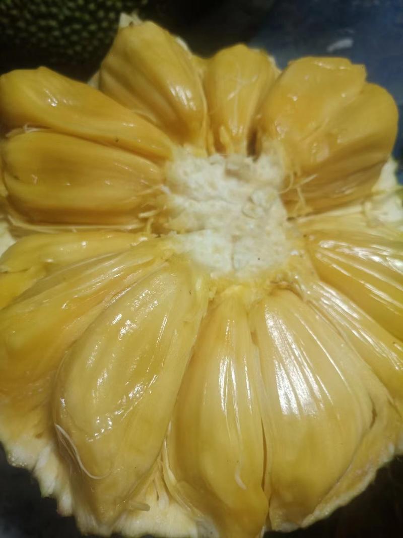 海南菠萝蜜，马来西亚1号产地现货，超市，市场，电商长期供应