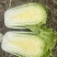 精品杠菜，大量上市，无虫，无腻，无烧心，