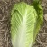 精品杠菜，大量上市，无虫，无腻，无烧心，