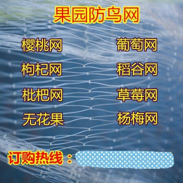 葡萄尼龙防鸟网批发梨苹果园鱼塘养殖青蛙天网鱼塘养殖防鸟网
