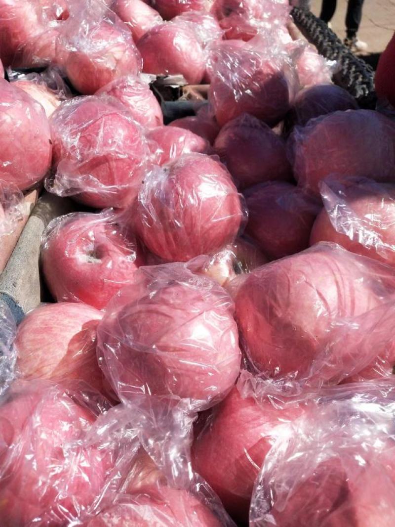 河南三门峡半山区精品糖心纸夹膜红富士苹果