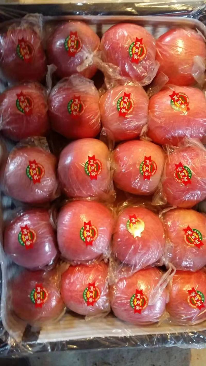 河南三门峡半山区精品糖心纸夹膜红富士苹果