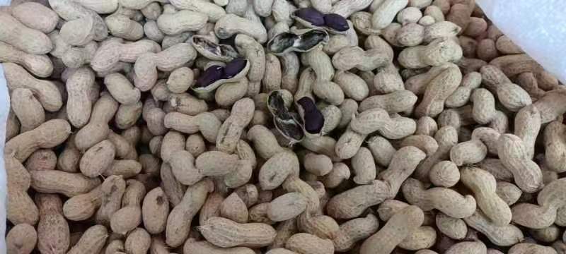 一把混合豆类