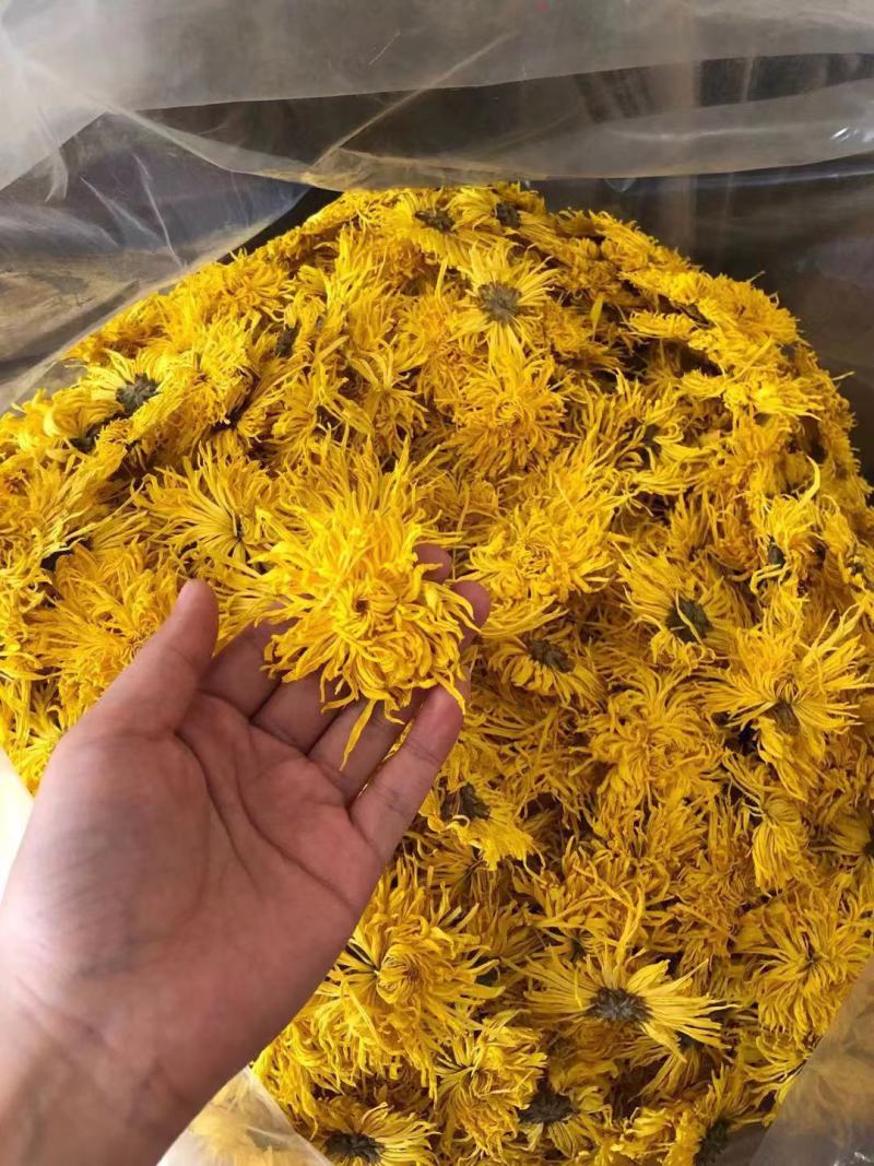 【黄山发货】无硫金丝皇菊手选金丝皇菊500克袋装包邮