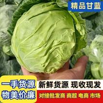 邯郸甘蓝精品蔬菜精品质量诚信经营质量保证