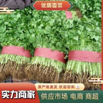 邯郸香菜精品质量诚信经营质量保证