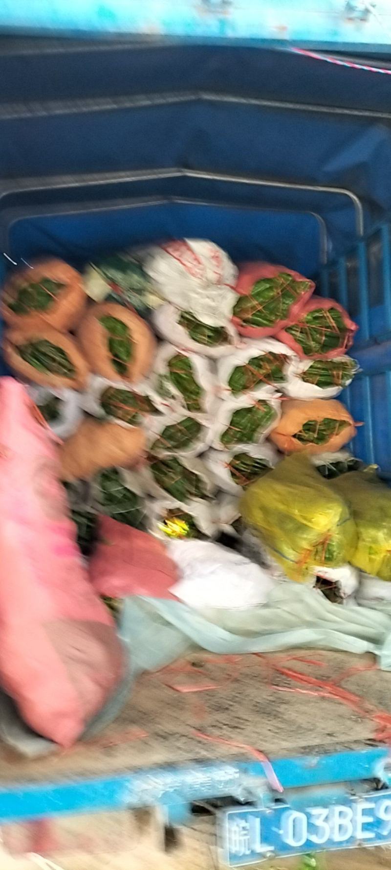 薄皮青辣椒大量上市，产地直发，一首货源代发全国。