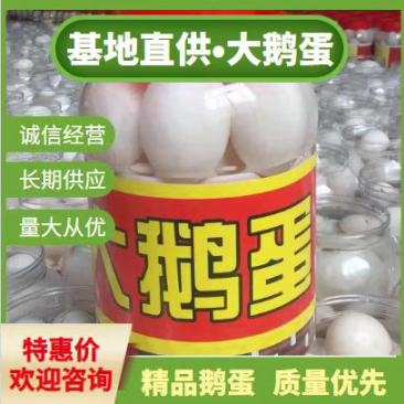 桶装蛋、大鹅蛋，桶装大鹅蛋，桶装蛋，桶装鸭蛋