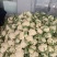 精品菜花，有机菜花白面，青梗，单棵2斤左右