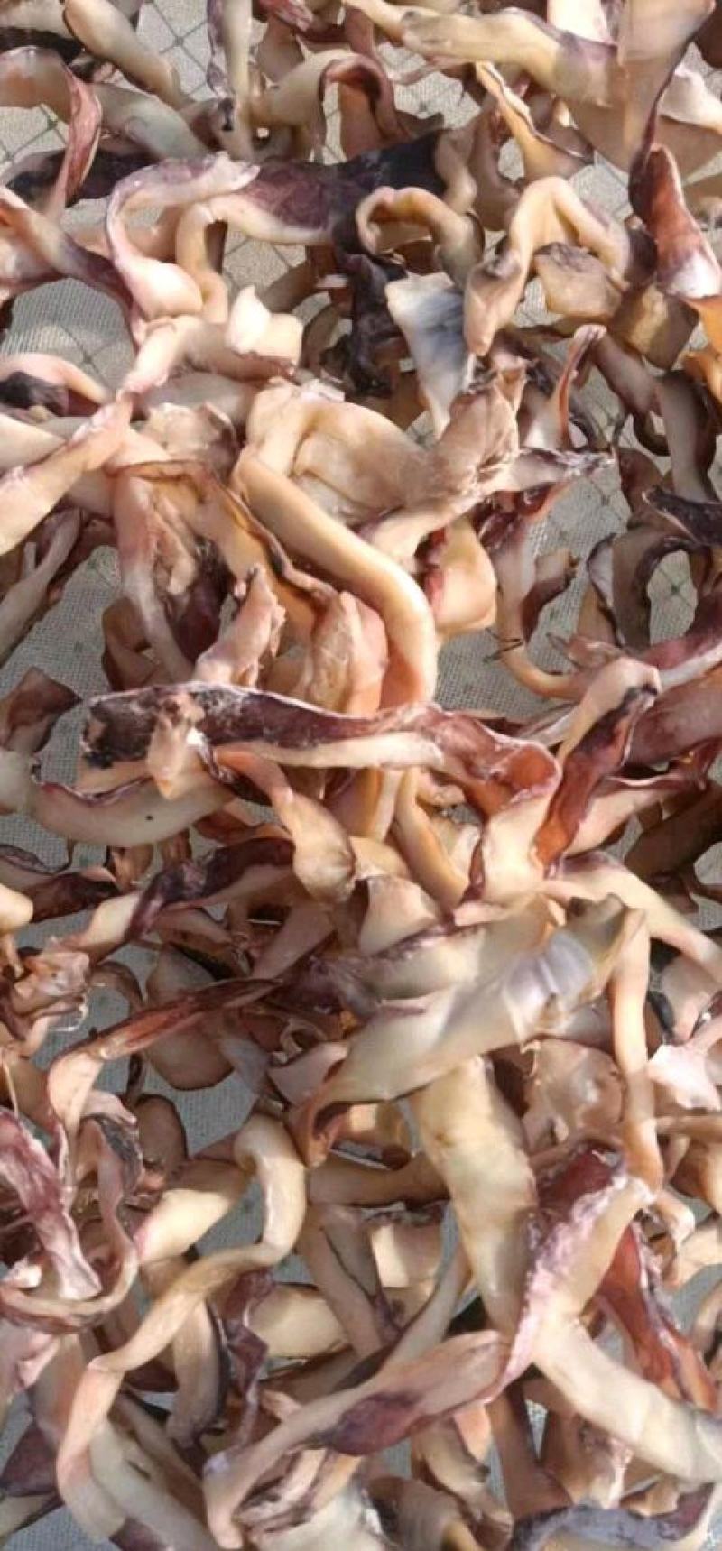 鱿鱼干边角料，鱿鱼条，鱿鱼碎，地摊好食材鱿鱼干边角料，
