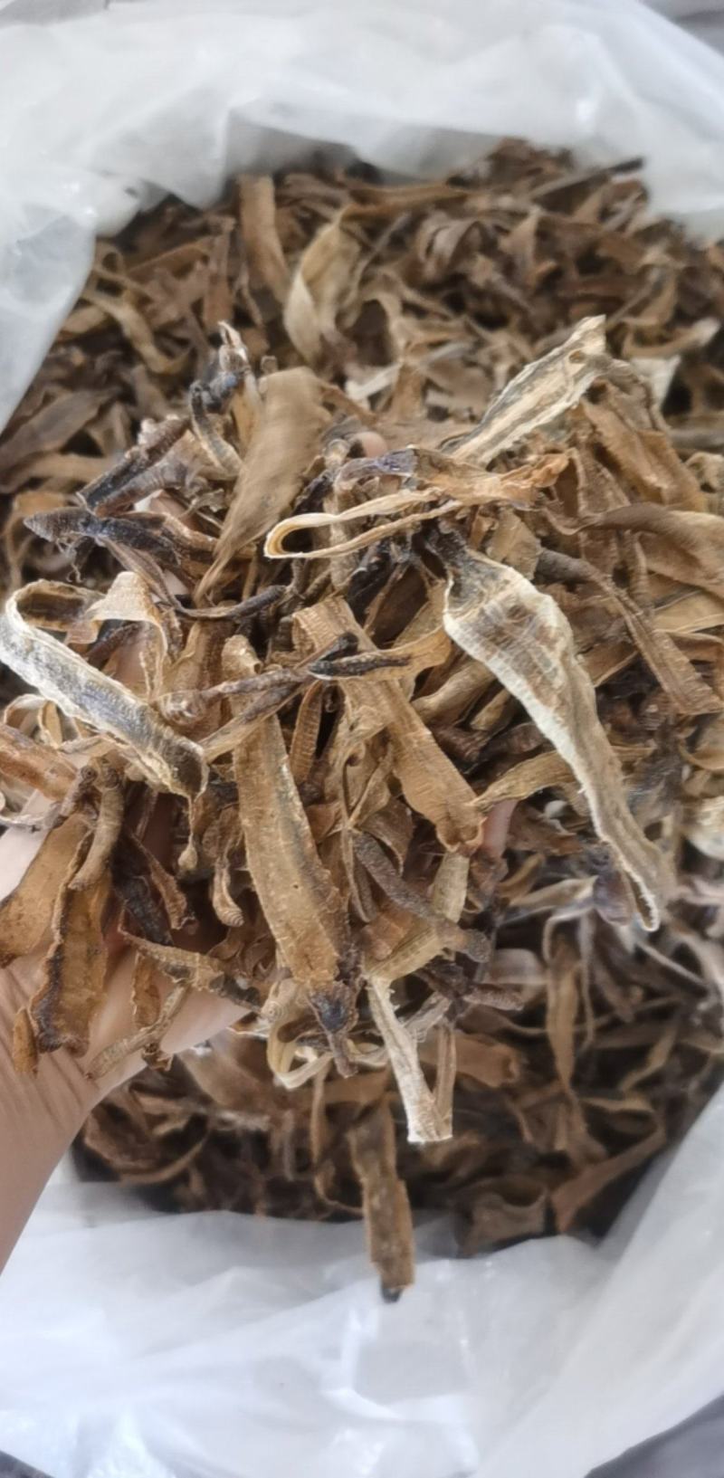半开地龙个统装500g振兴药材购销站量大从优